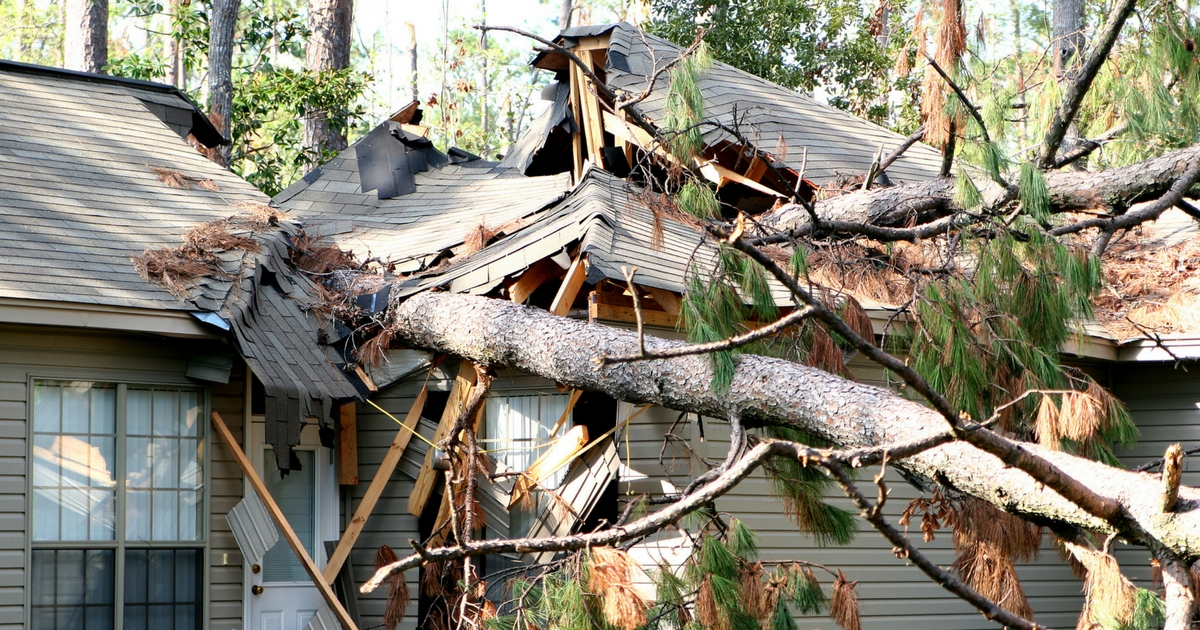 Storm Damage Cleanup